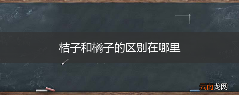 桔子和橘子的区别在哪里