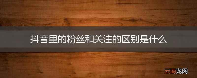 抖音里的粉丝和关注的区别是什么