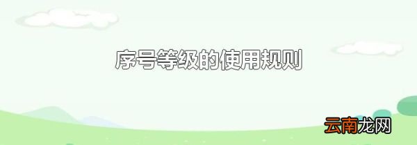 序号等级的使用规则