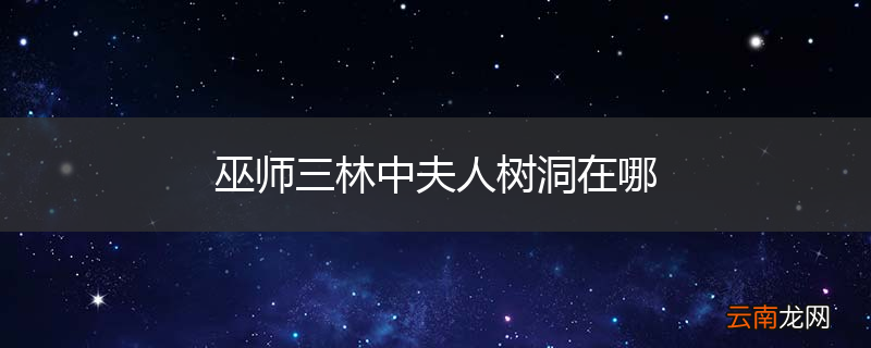 巫师三林中夫人树洞在哪