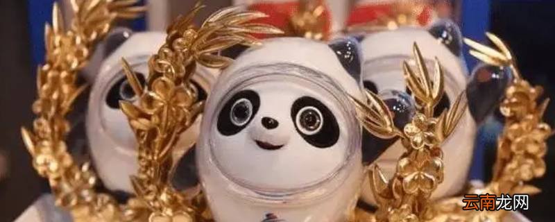 金墩墩含金吗