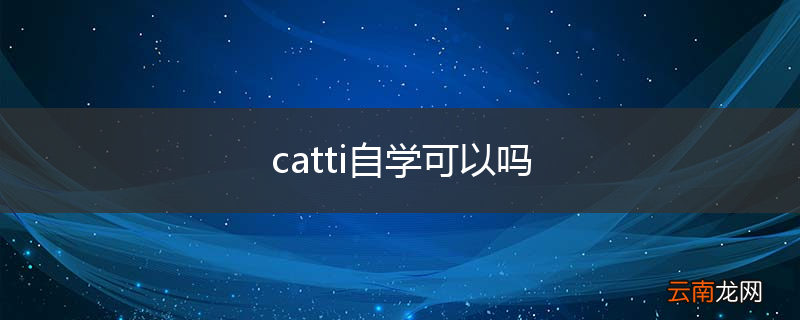 catti自学可以吗