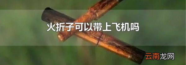 火折子可以带上飞机吗