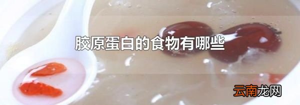 胶原蛋白的食物有哪些