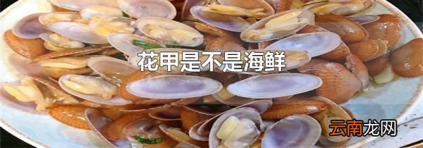 花甲是不是海鲜