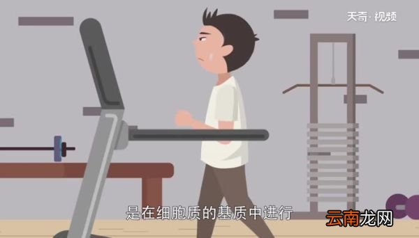 有氧呼吸第一阶段场所 有氧呼吸第一阶段场所是哪里