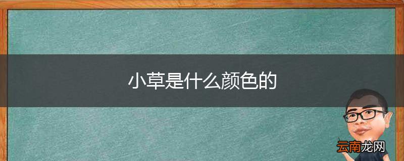 小草是什么颜色的