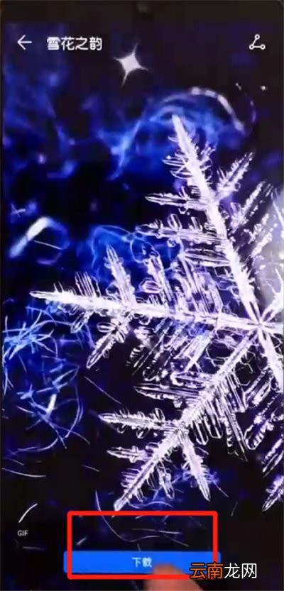 荣耀10青春版设置动态壁纸的操作教程