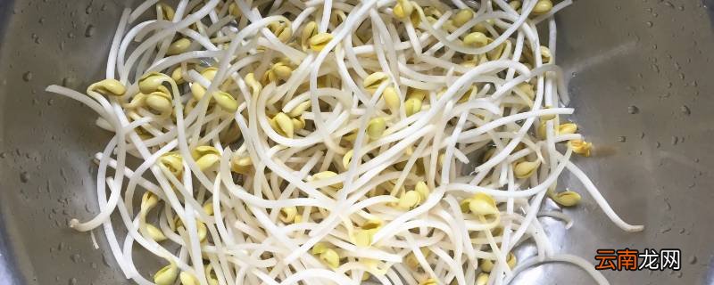 如何发黄豆芽又快又好