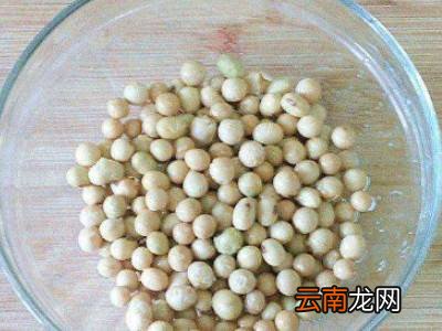 如何发黄豆芽又快又好