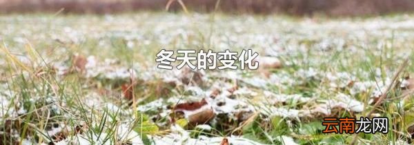 冬天的变化