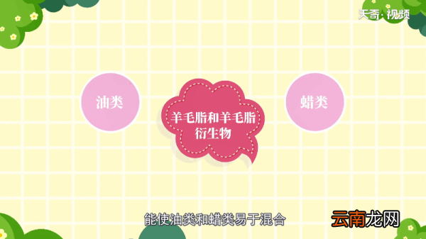 口红是什么做的 口红的原料