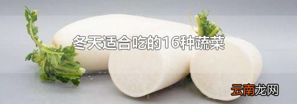 冬天适合吃的16种蔬菜