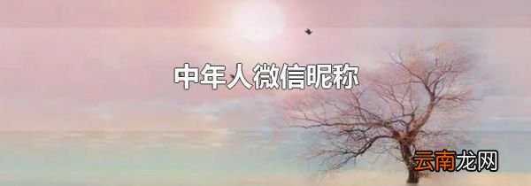 中年人微信昵称