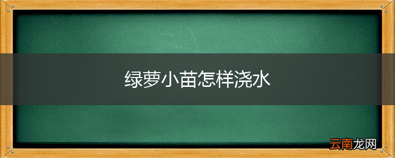 绿萝小苗怎样浇水