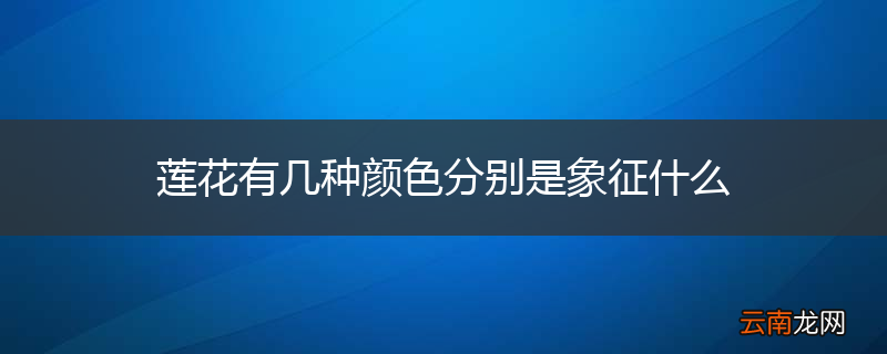 莲花有几种颜色分别是象征什么