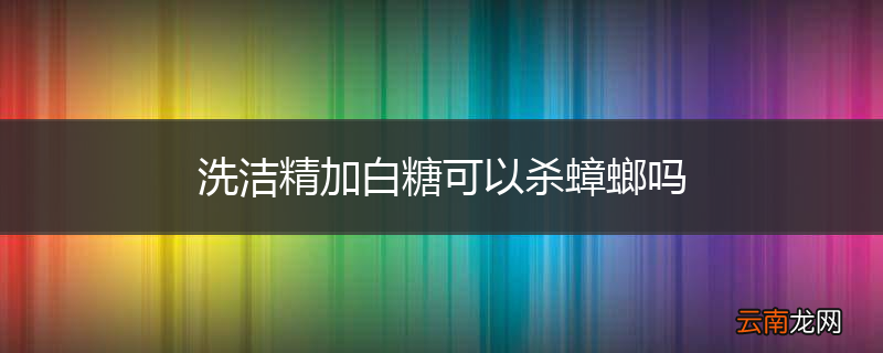 洗洁精加白糖可以杀蟑螂吗