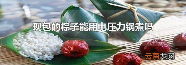 现包的粽子能用电压力锅煮吗