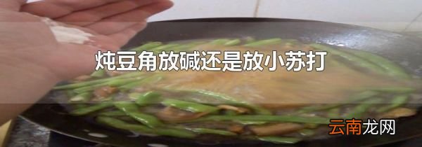 炖豆角放碱还是放小苏打