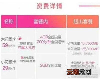 联通大花椒卡和小花椒卡哪个好用