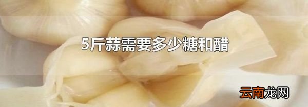 5斤蒜需要多少糖和醋