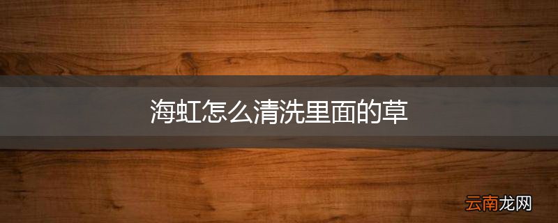 海虹怎么清洗里面的草