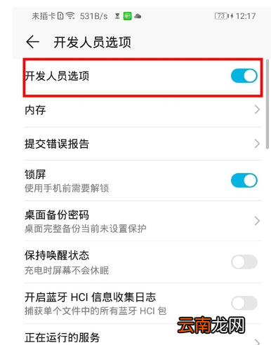 荣耀20青春版中打开开发者选项的操作教程
