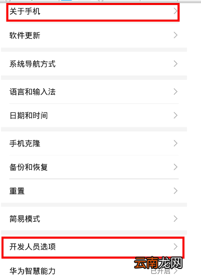 荣耀20青春版中打开开发者选项的操作教程