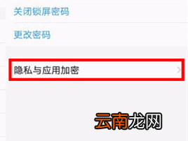 vivonex双屏版中将应用隐藏具体操作流程