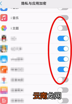 vivonex双屏版中将应用隐藏具体操作流程