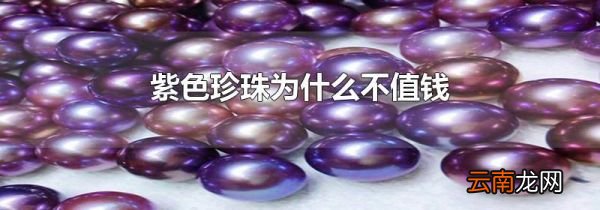 紫色珍珠为什么不值钱