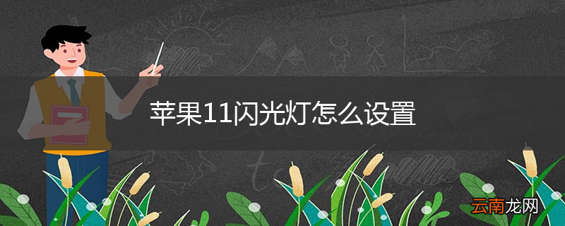 苹果11闪光灯怎么设置