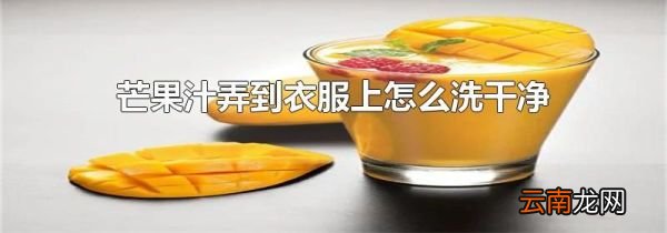 芒果汁弄到衣服上怎么洗干净