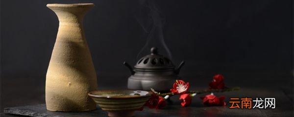 君子寡欲则不役于物,可以直道而行翻译 君子寡欲则不役于物,可以直道而行原文翻译