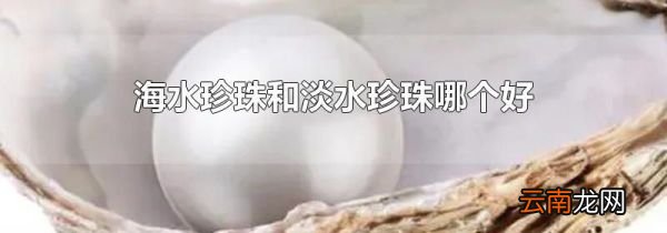 海水珍珠和淡水珍珠哪个好