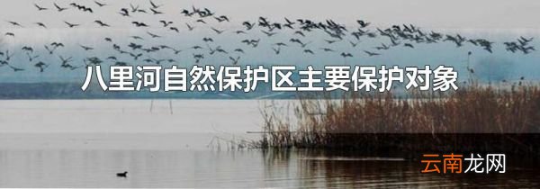 八里河自然保护区主要保护对象