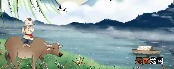 村晚描写了什么抒发了什么 村晚描写了怎样的画面