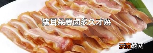 猪耳朵要卤多久才熟