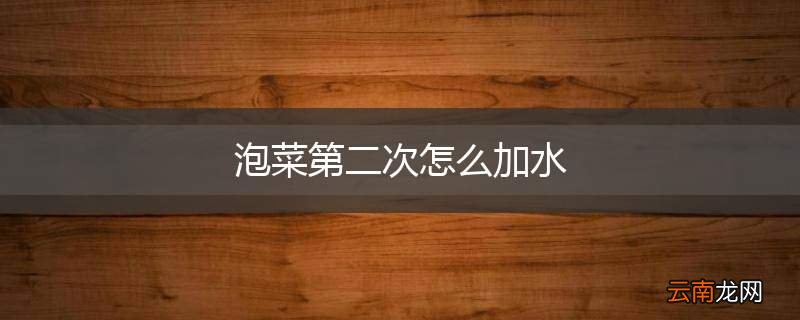 泡菜第二次怎么加水