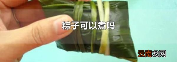 粽子可以煮吗