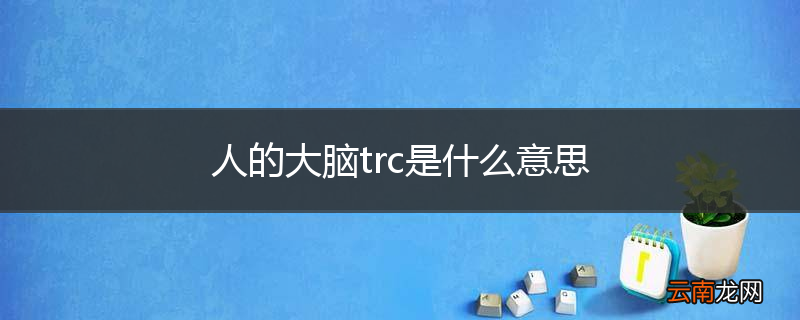 人的大脑trc是什么意思