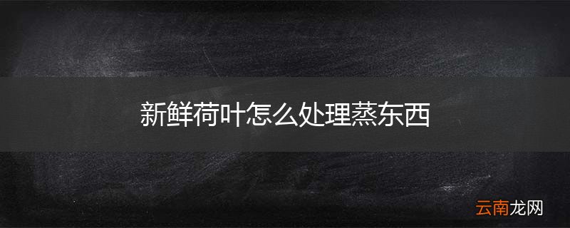 新鲜荷叶怎么处理蒸东西