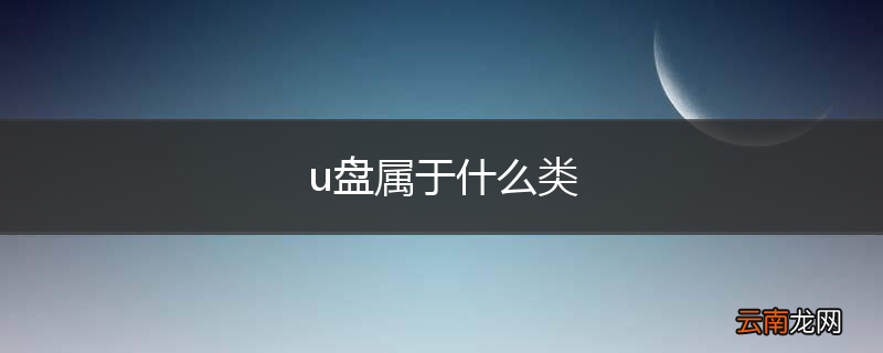u盘属于什么类