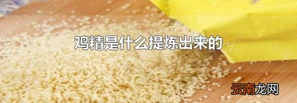 鸡精是什么提炼出来的