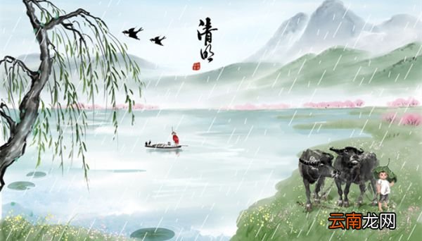 棠梨花映白杨树,尽是死生别离处什么意思 棠梨花映白杨树