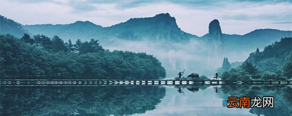 棠梨花映白杨树,尽是死生别离处什么意思 棠梨花映白杨树