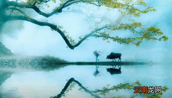 棠梨花映白杨树,尽是死生别离处什么意思 棠梨花映白杨树