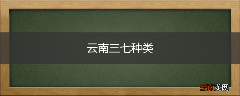 云南三七种类