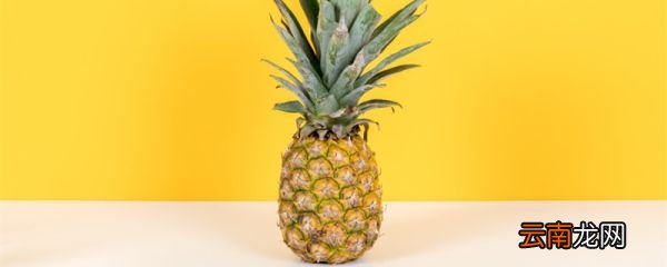菠萝皮泡水可以浇花吗 菠萝皮可以作为肥料吗