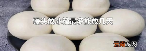 馒头放冰箱最多能放几天